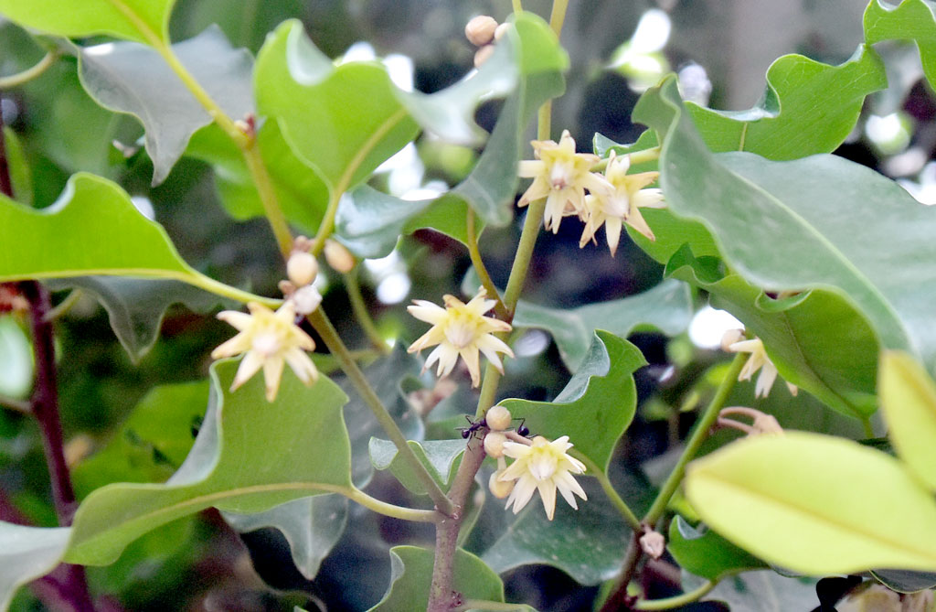 দিনের ছবি (২৭ মে, ২০২৫)