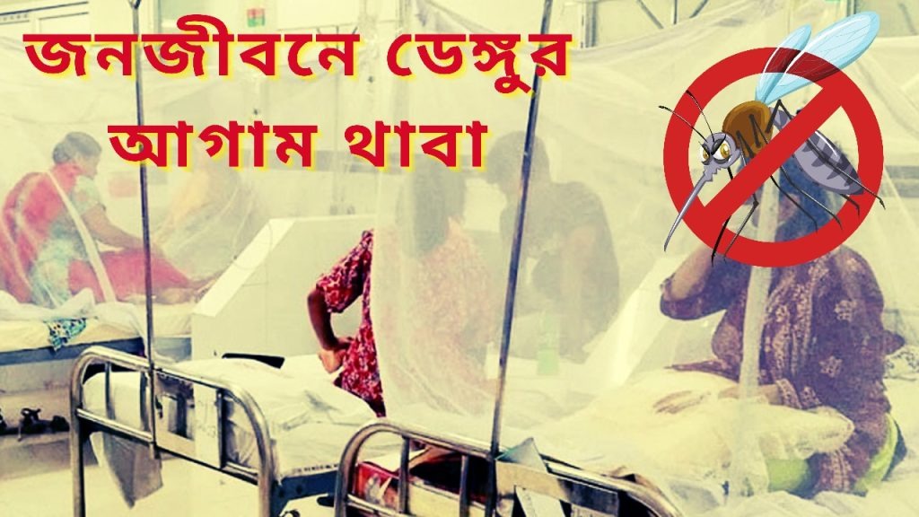 ঘরে ঢুকে পড়েছে ডেঙ্গু: আগাম পদক্ষেপ না নিলে বড় বিপদ