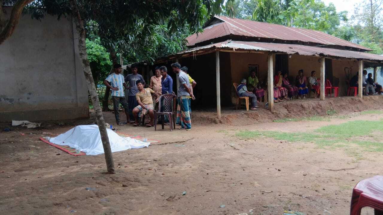 গারো পাহাড়ে বন্য হাতির পৃথক আক্রমণে দুই রিকশা-ভ্যানচালকের মৃত্যু
