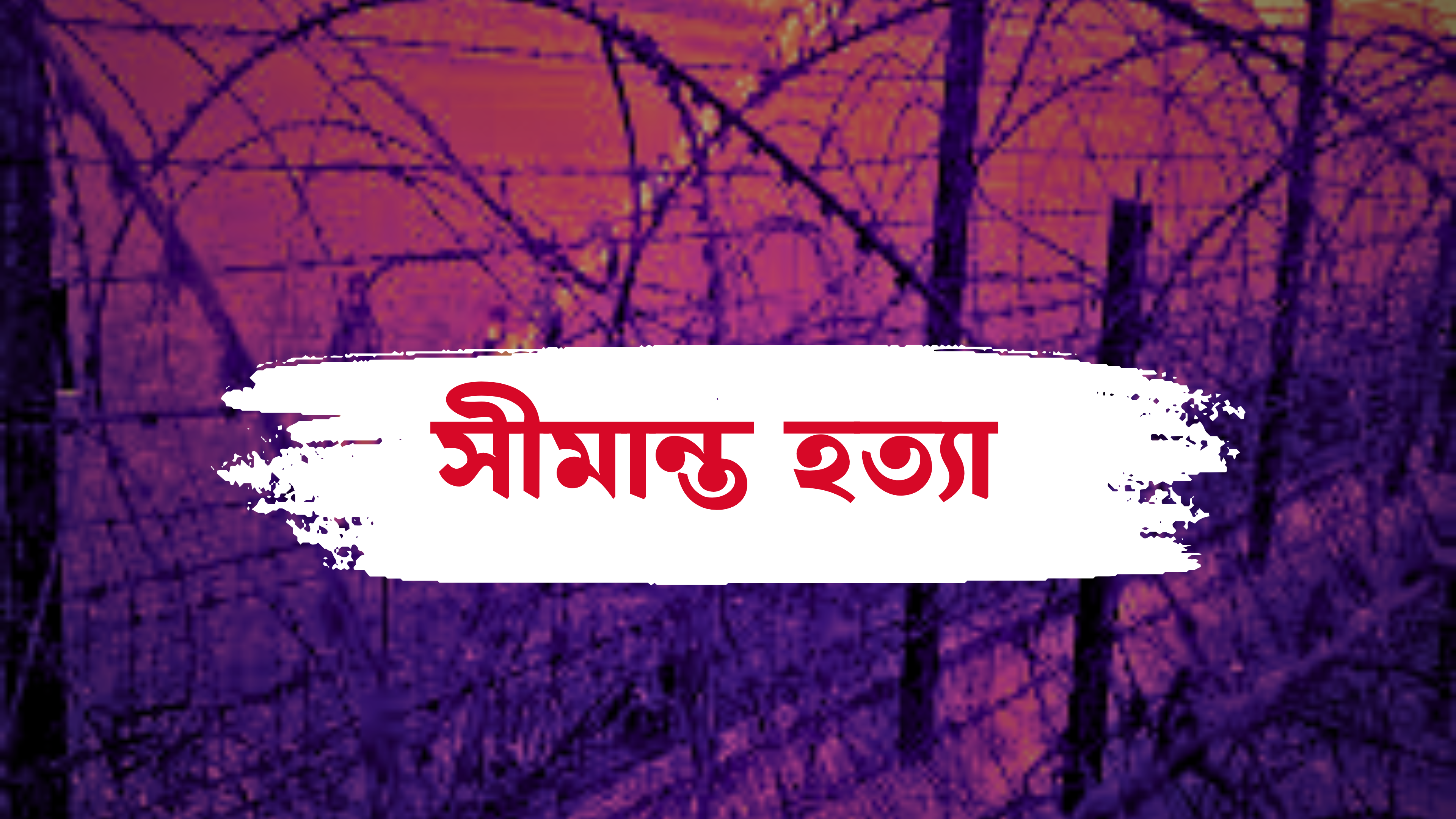 ৫ আগস্টের পর সীমান্তে ২৫ হত্যা: বিএসএফ কেন এত গুলি চালাচ্ছে